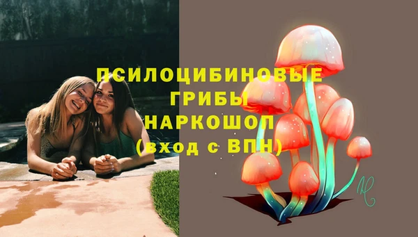 гидра Бугульма