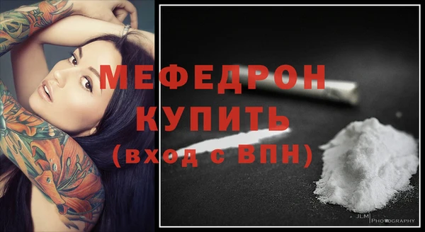spice Богородск