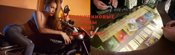 гидра Бугульма