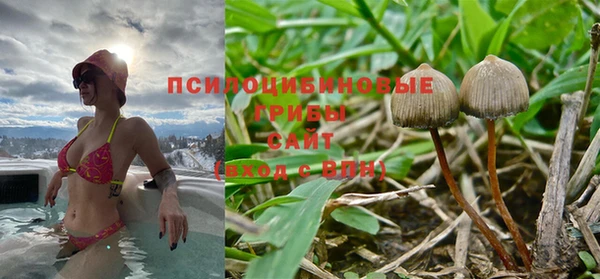 spice Богородск