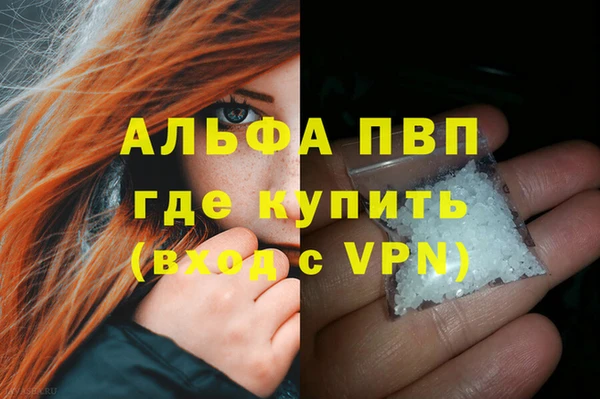 spice Богородск