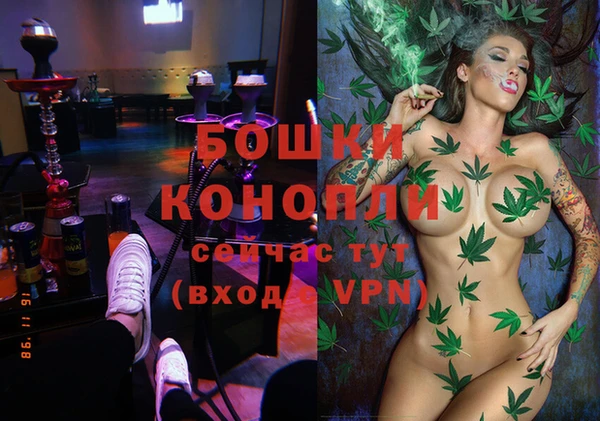 гидра Бородино
