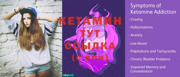 гидра Бородино