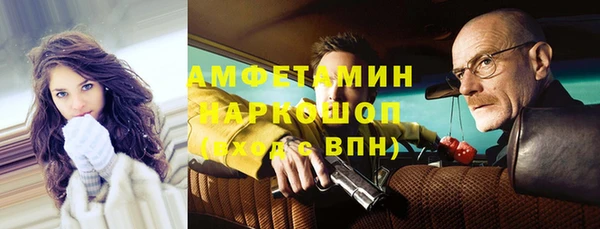 гидра Бородино