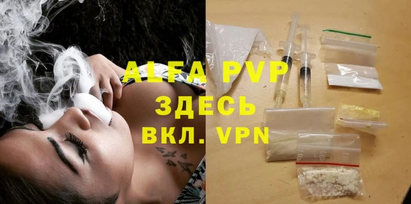 экстази Богданович